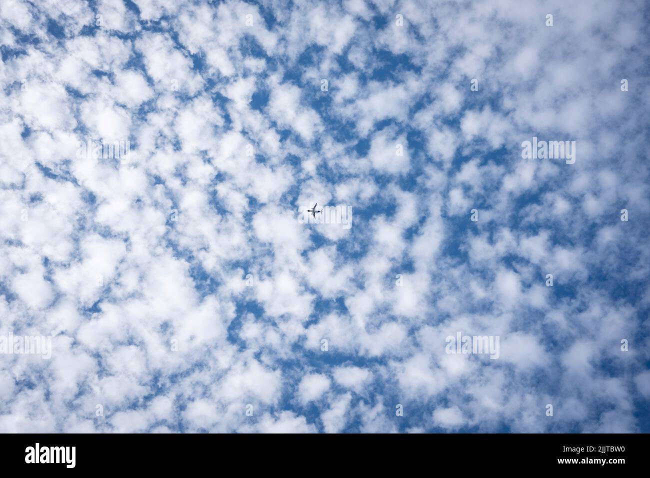 A single jet airliner flies across south London skies, its shape silhouetted against altocumulus cloud formations on its in-flight journey overhead, on 24th July 2022, in London, England. Altocumulus is a middle-altitude cloud whose altitude is between 2,000–7,000 m (7,000–23,000 ft). Stock Photo