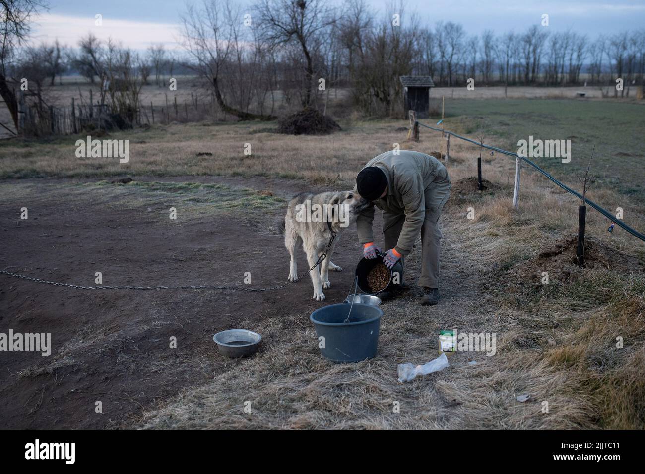 Ferenc Szepe, 68, a farmer, feeds his dog on his farm near Jaszszentlaszlo, Hungary, February 1, 2022. Farmers across Hungary have reported Ferenc Szepe, 68, a farmer, feeds his dog on his farm near Jaszszentlaszlo, Hungary, February 1, 2022. Farmers across Hungary have reported