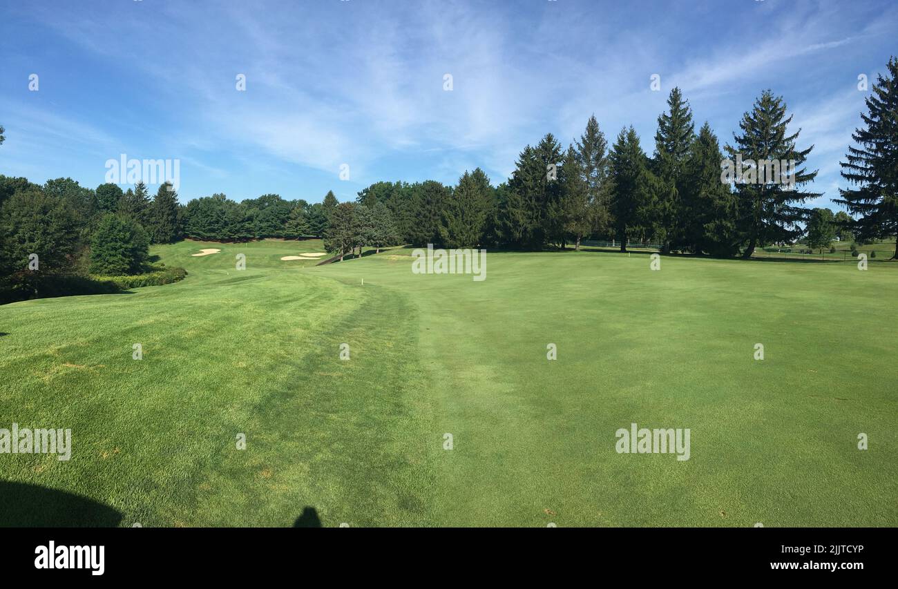 Green trees background pine hi-res stock photography and images - Alamy