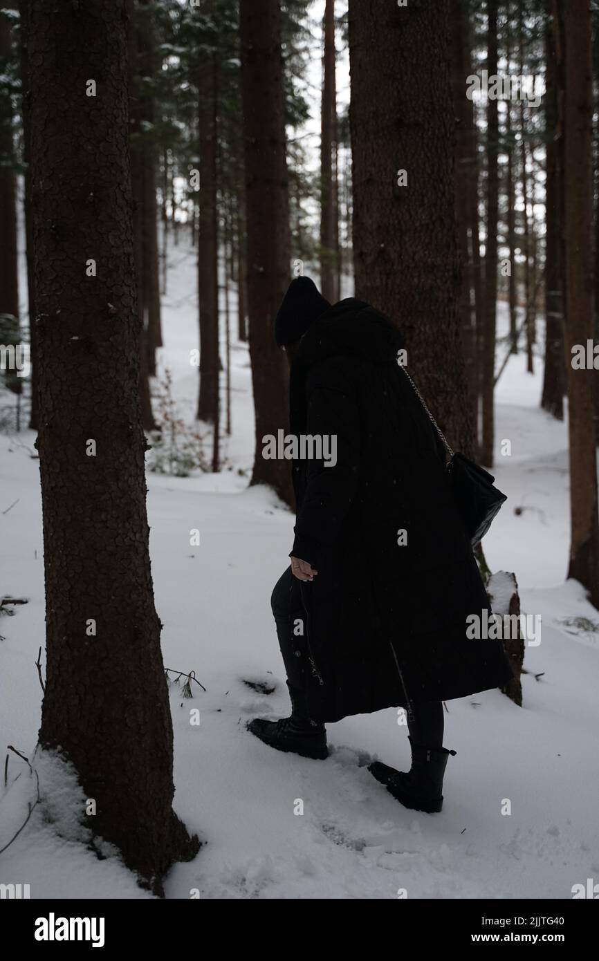 A vertical shot of a female in a black winter jacket walking on a snowy path in the woods Stock Photo