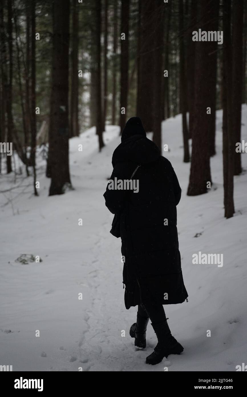 A vertical shot of a female in a black winter jacket walking on a snowy path in the woods Stock Photo