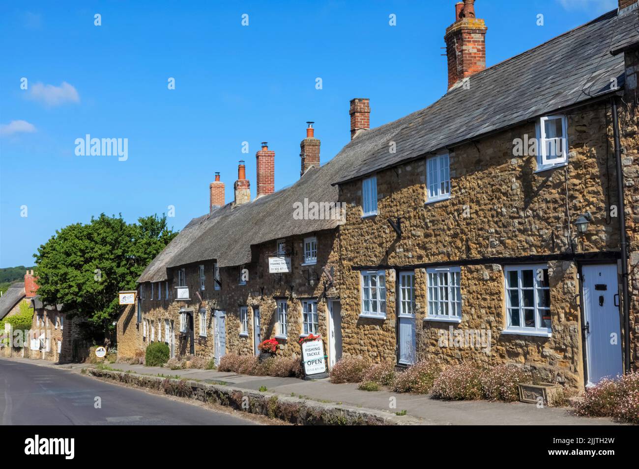 England, Dorset, Abbotsbury, Row of Historic Terraced Cottages and Shops Stock Photo
