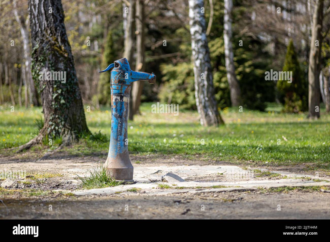 A closeup of a blue water column in a forest Stock Photo