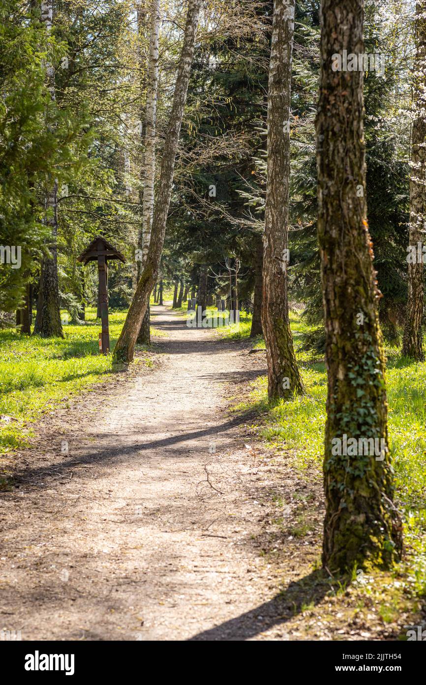 Vertical shot park surrounded hi-res stock photography and images - Alamy