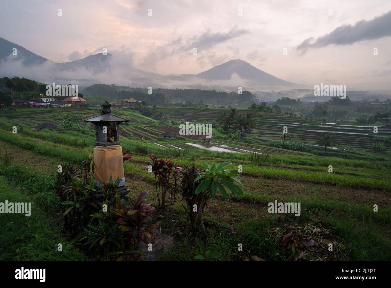 A beautiful landscape of rice fields in Bali, Indonesia Stock Photo - Alamy