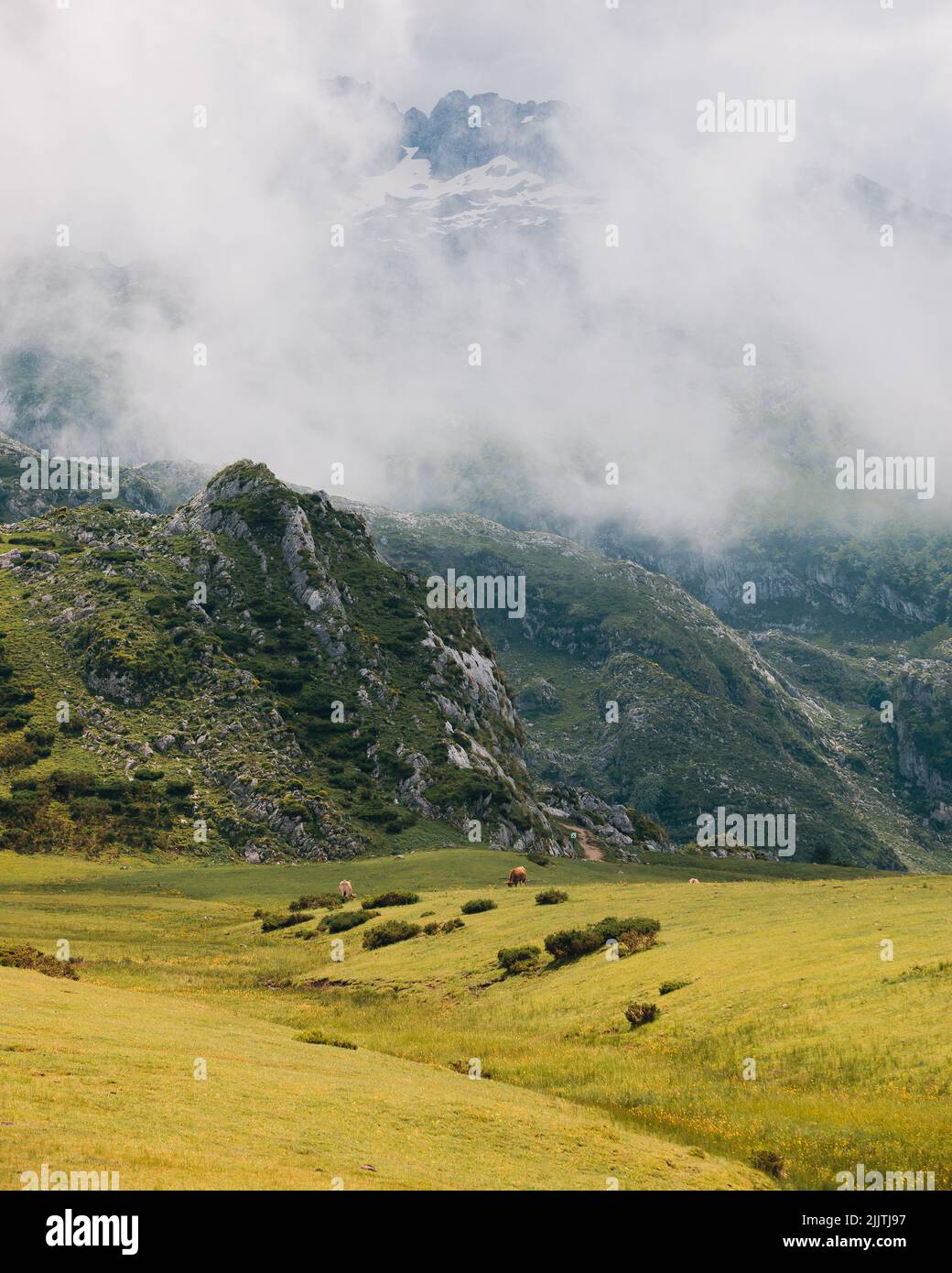 A foggy day in the mountains Stock Photo