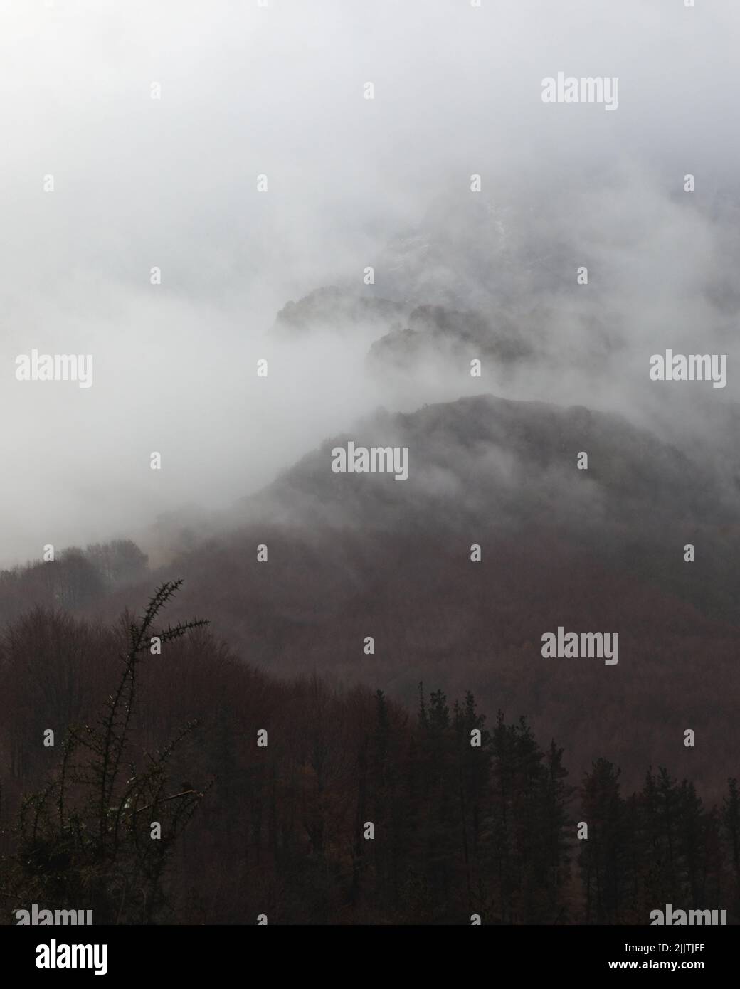 A gray clouds over mountain and trees in a foggy day Stock Photo