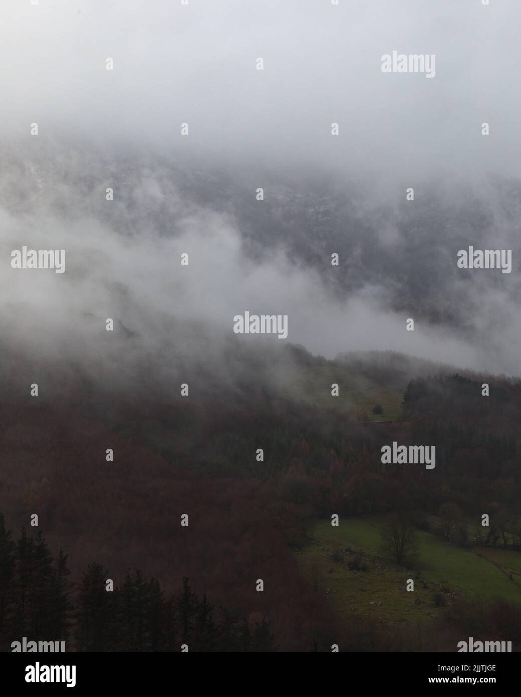 A gray clouds over mountains and trees in a foggy day Stock Photo