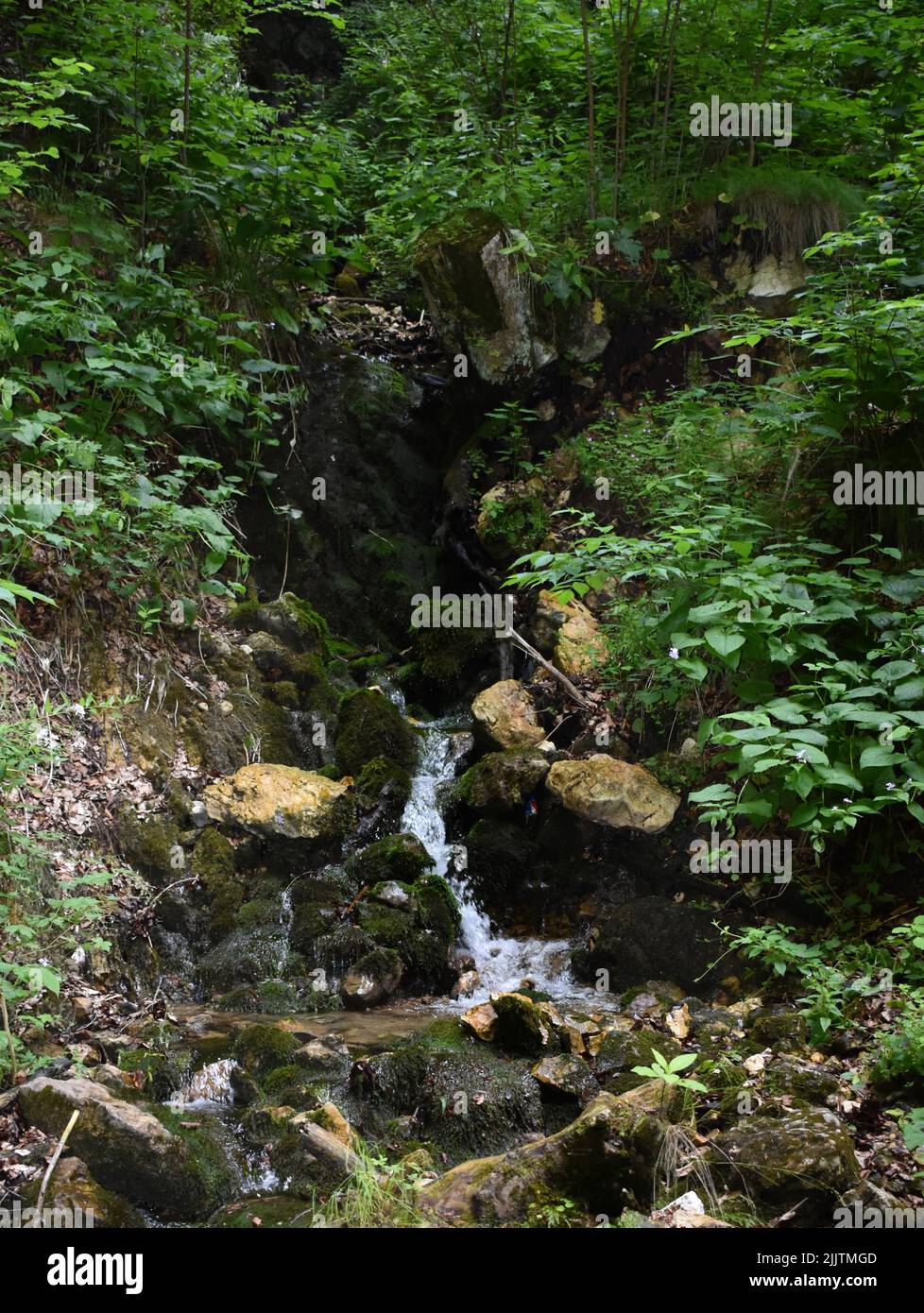 Small waterfall in forest bright hi-res stock photography and images ...