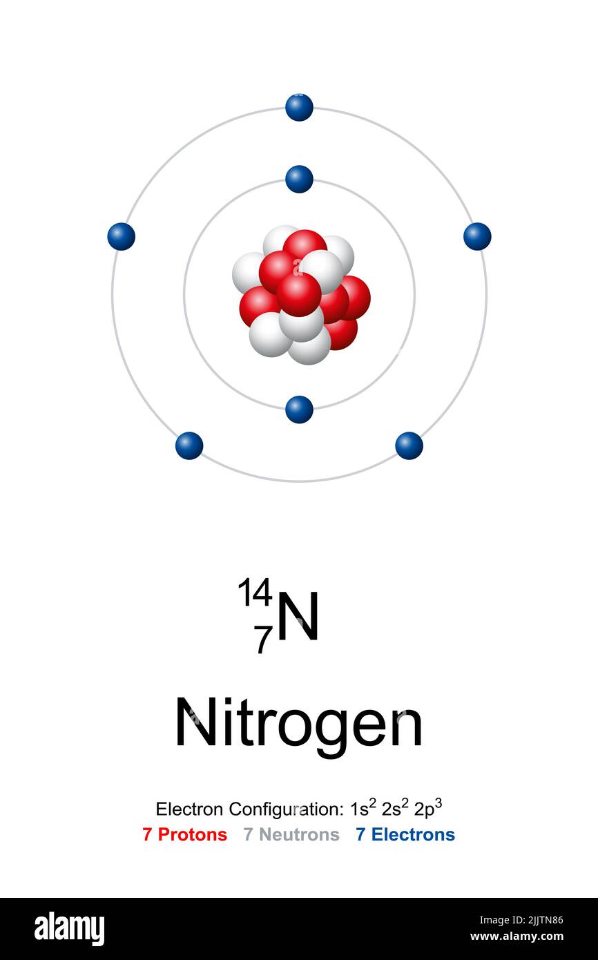 Nitrogen, atom model. Chemical element with symbol N and with atomic number 7. Bohr model of nitrogen-14. Stock Photo