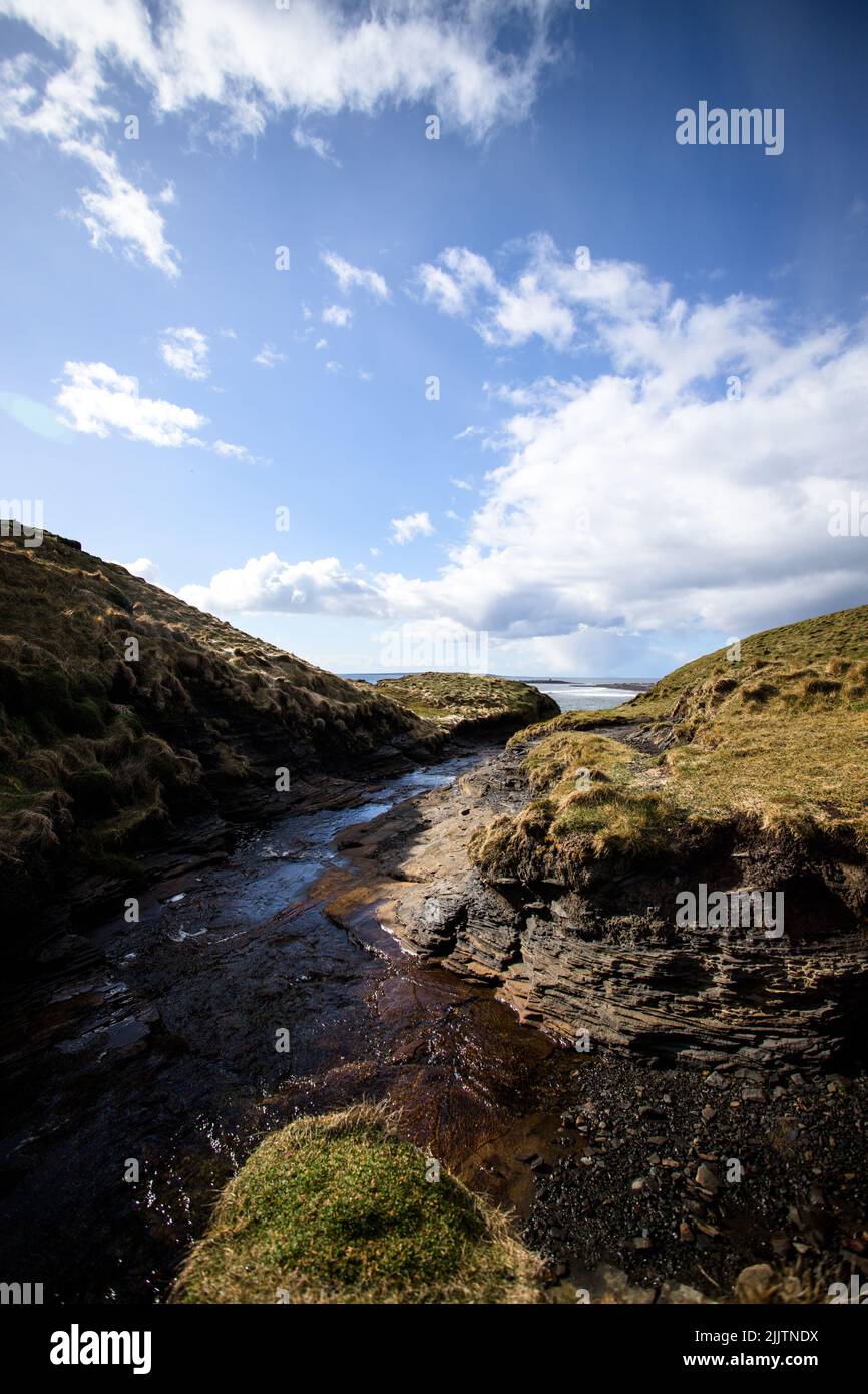 Stream water flowing wilderness hi-res stock photography and images - Alamy