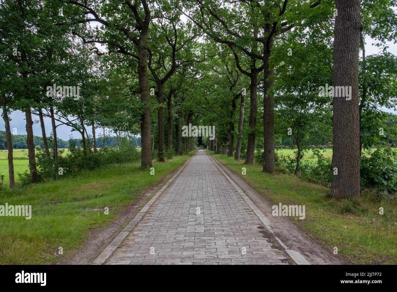 June 25th, 2022, Westmalle, Belgium, view of the road and trees around the abbey of Westmalle, famous for its blonde, brown and trippel trappist beer. High quality photo Stock Photo