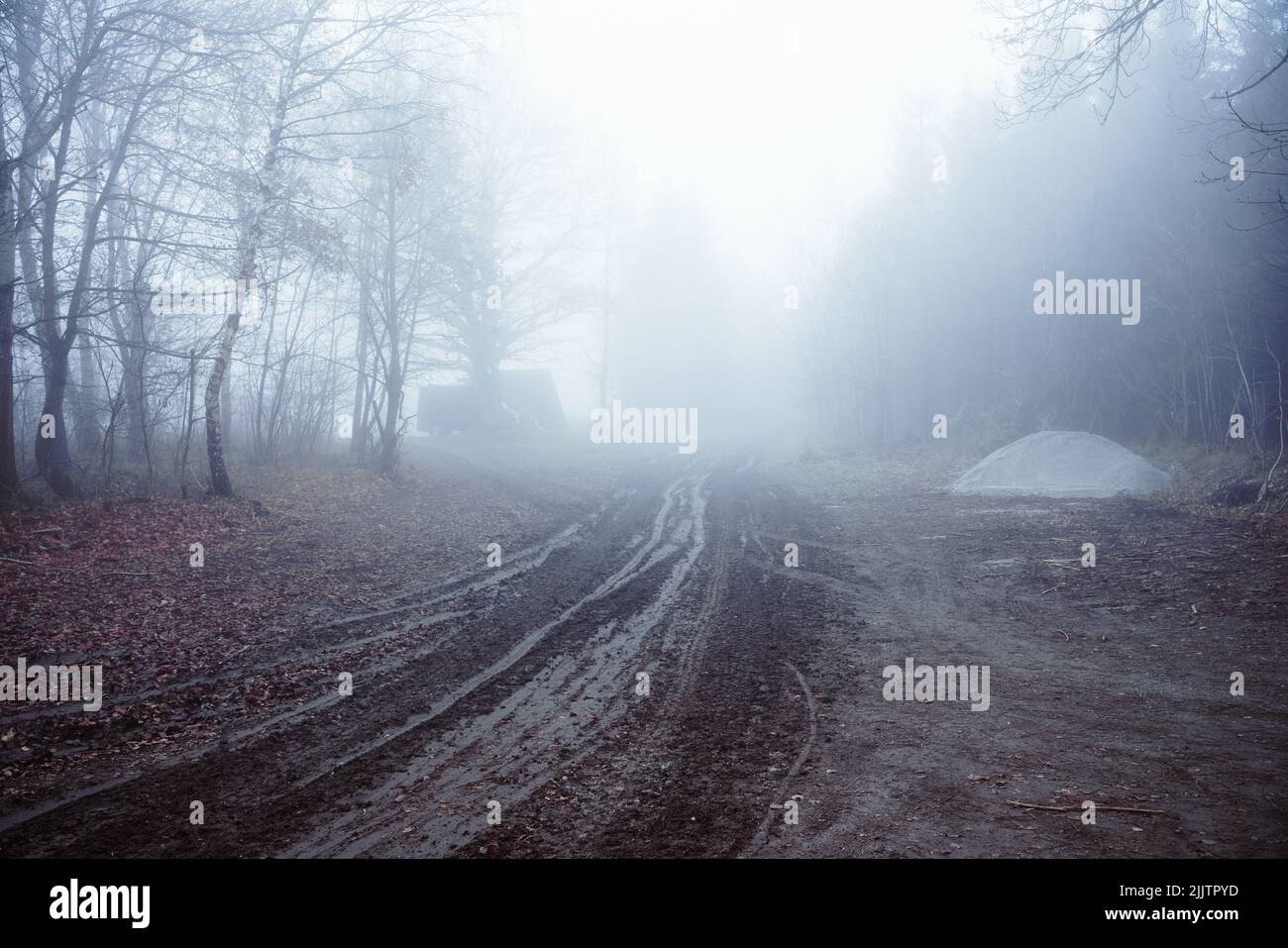 Muddy path leads through a foggy forest Stock Photo