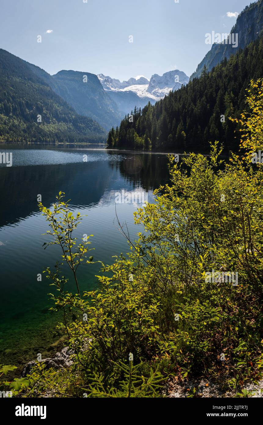 A vertical shot of a landscape reflecting in the lake Stock Photo - Alamy