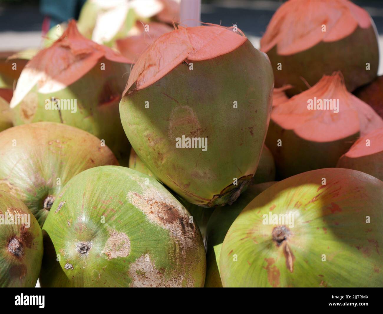 Close up of Coconuts ready for sale on a market stall Stock Photo