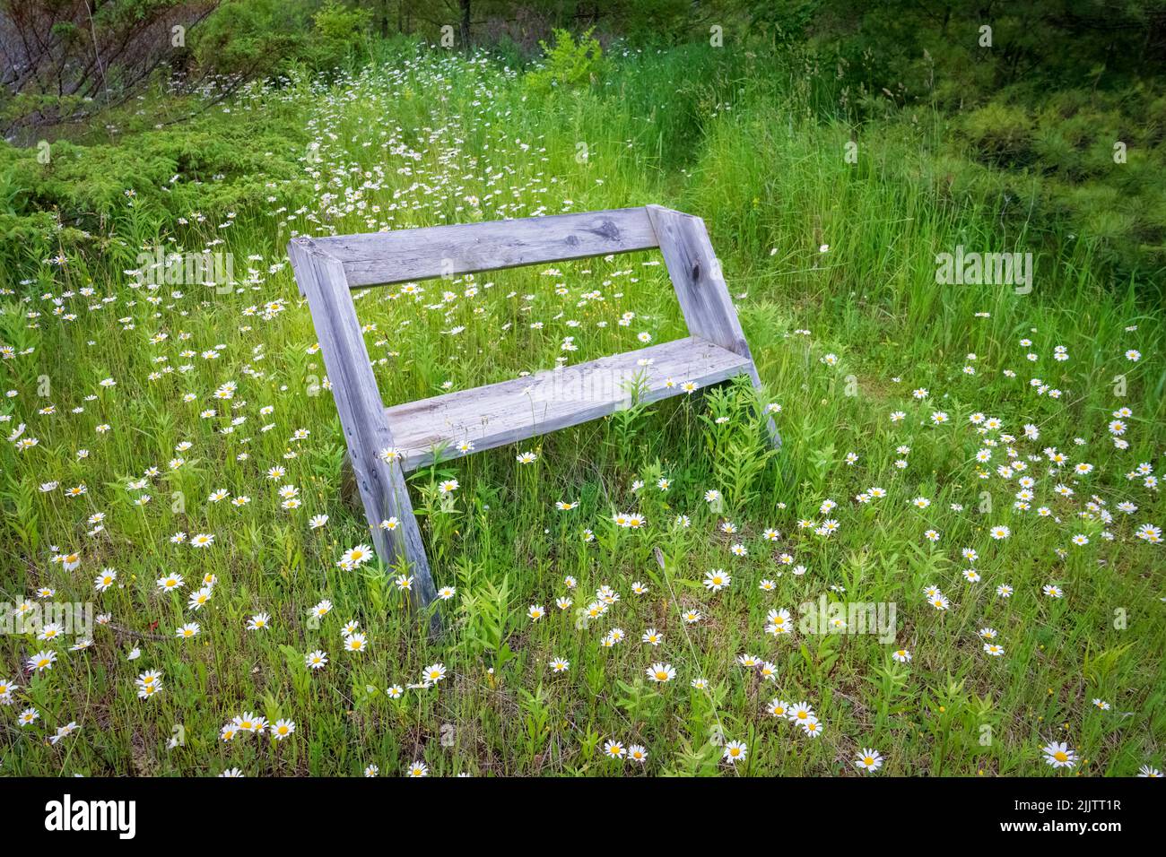 The Door County Land Trust is a land preservation organization located