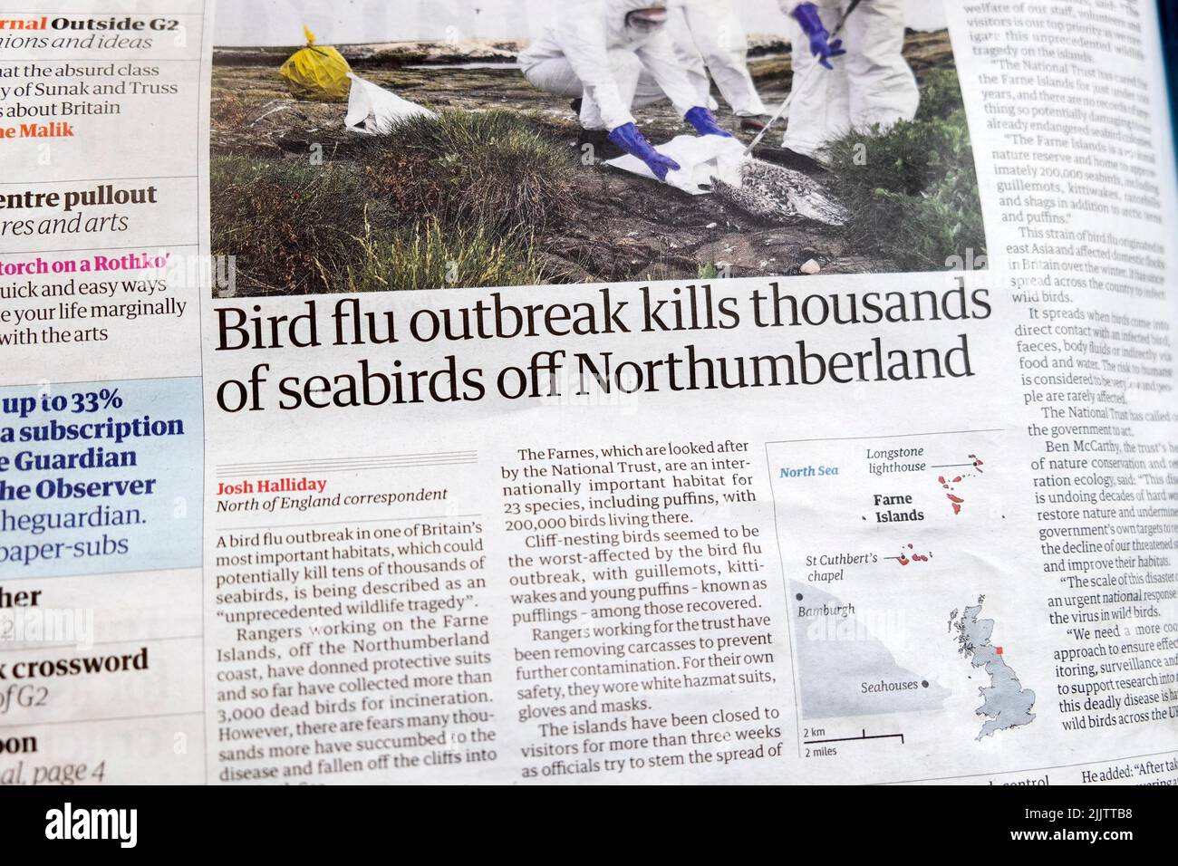 'Bird flu outbreak kills thousands of seabirds off Northumberland' Stock Photo