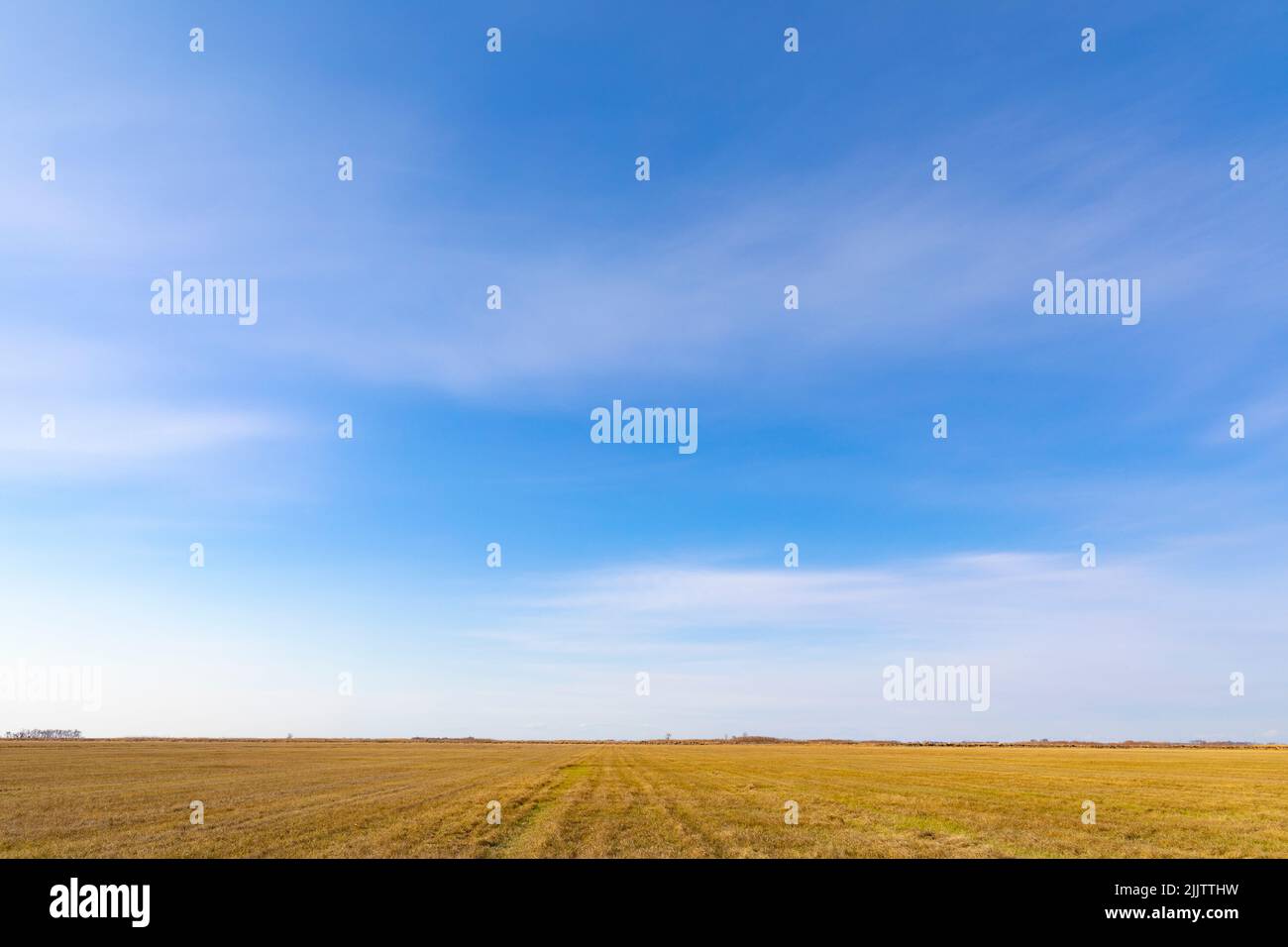 Great Plains scene outside Rothsay, Otter Tail County, Minnesota, United States, North America. Stock Photo