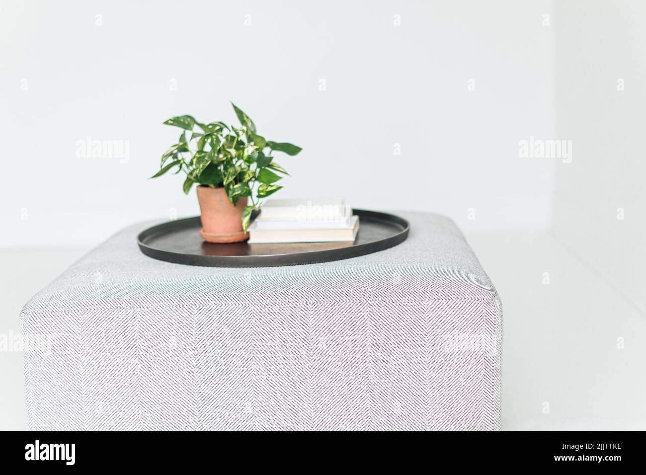 An atmospheric cozy shot of office interior with plant and bookia on sofa in minimalistic setting Stock Photo