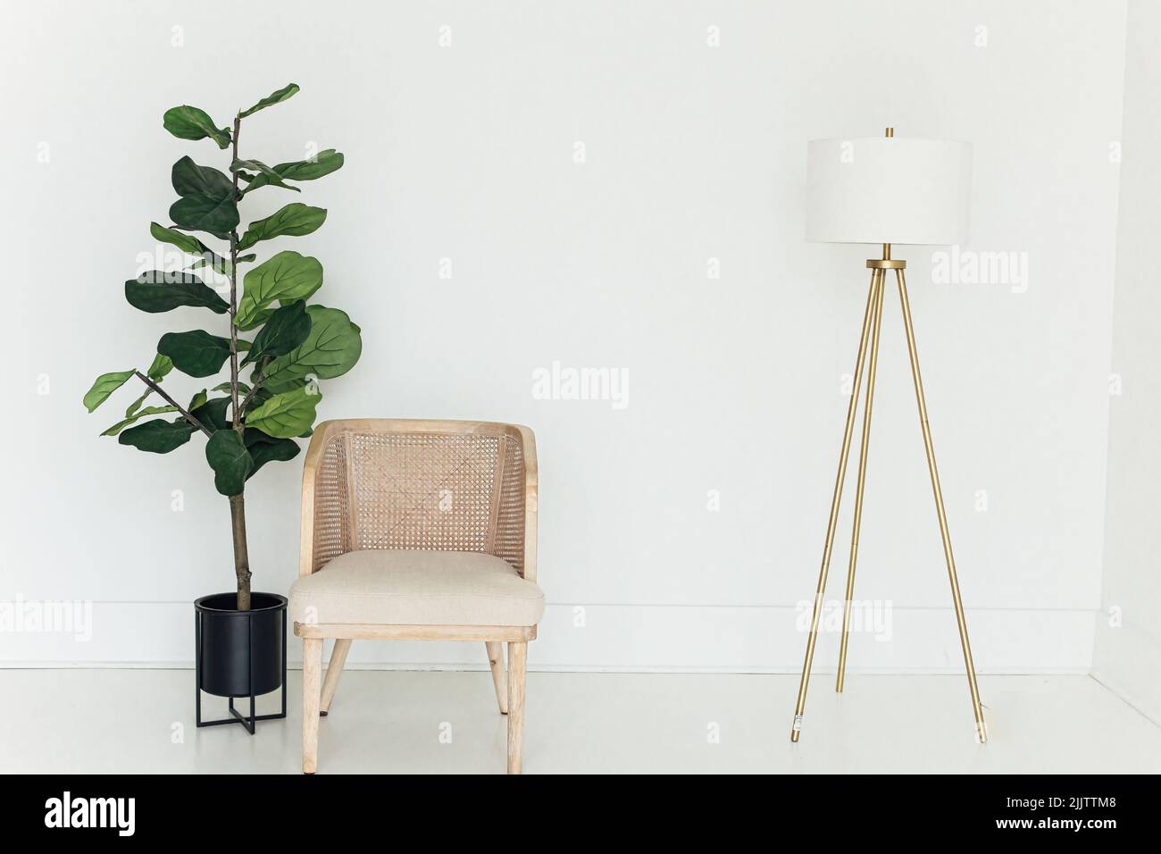 An atmospheric cozy shot of office interior with chair, plant and lamp in minimalistic setting Stock Photo