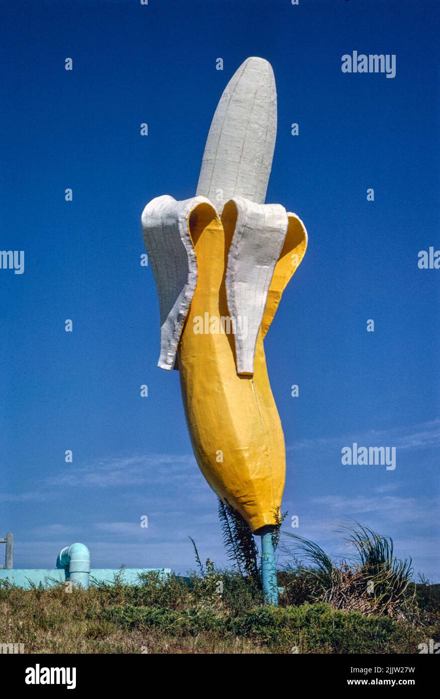 Banana Water Slide banana statue, vertical, Virginia Beach, Virginia (1985) photography in high resolution by John Margolies. Original from the Librar Stock Photo