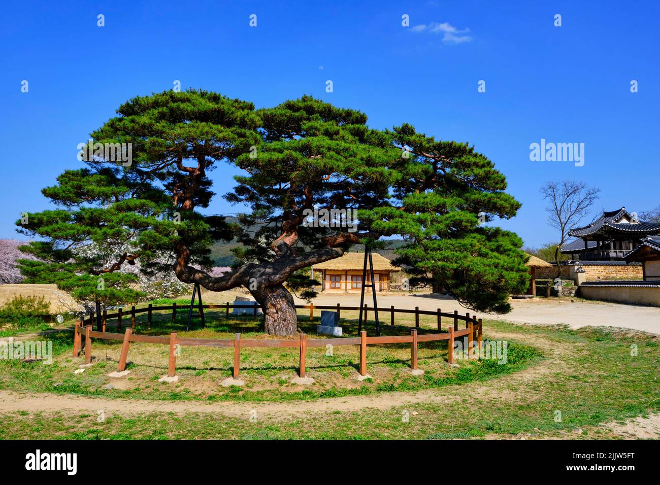 South Korea, North Gyeongsang Province, Andong, the historic village of Hahoe (UNESCO World South Korea, North Gyeongsang Province, Andong, the historic village of Hahoe (UNESCO World