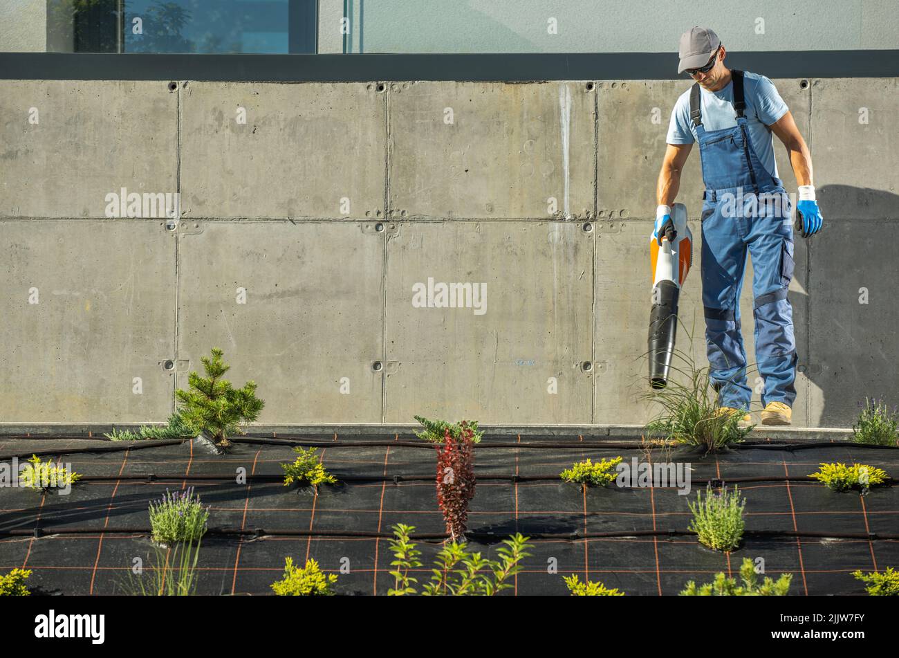 Professional Caucasian Landscaper in His 40s with Cordless Electric