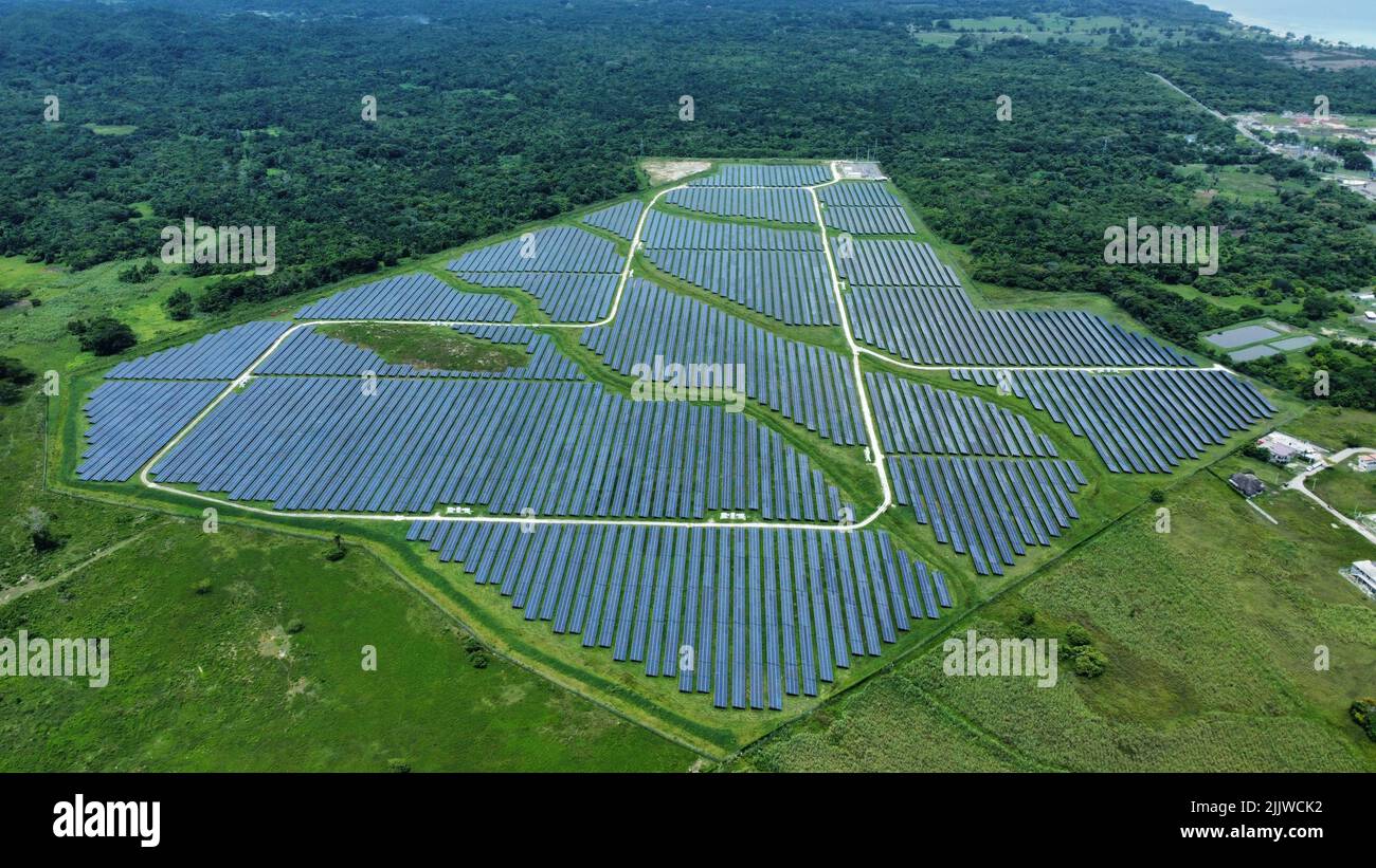 A bird's eye view of a park of solar panels surrounded by greenery in