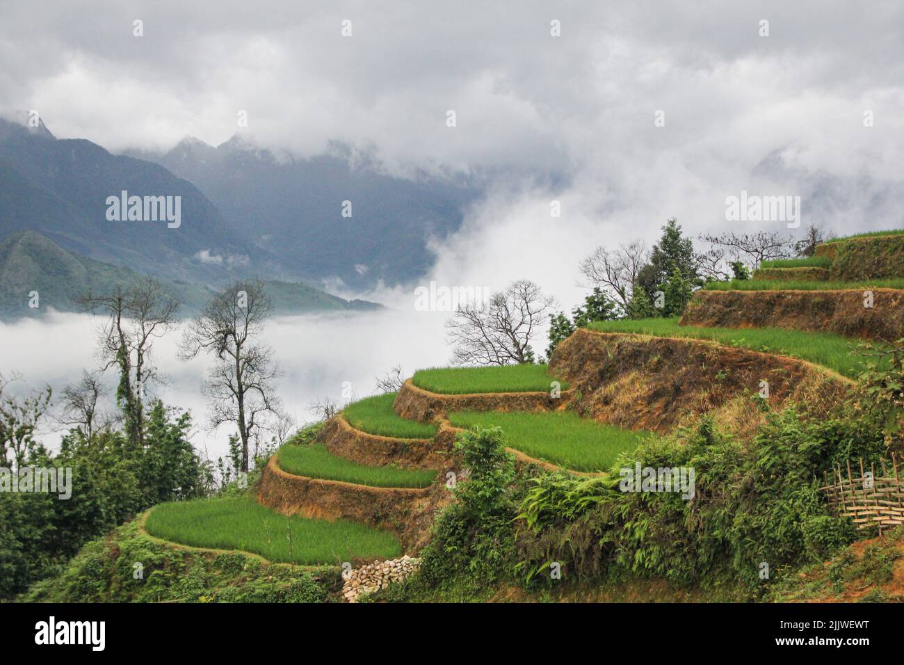 An aerial view of a hill with a foggy mountain background Stock Photo ...
