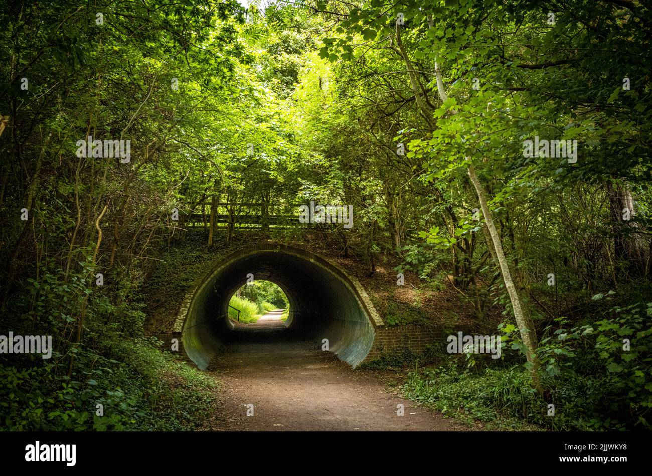 A view under a rebuilt bridge on the Downs Link, a disused railway track now used by walkers and cyclists. Stock Photo