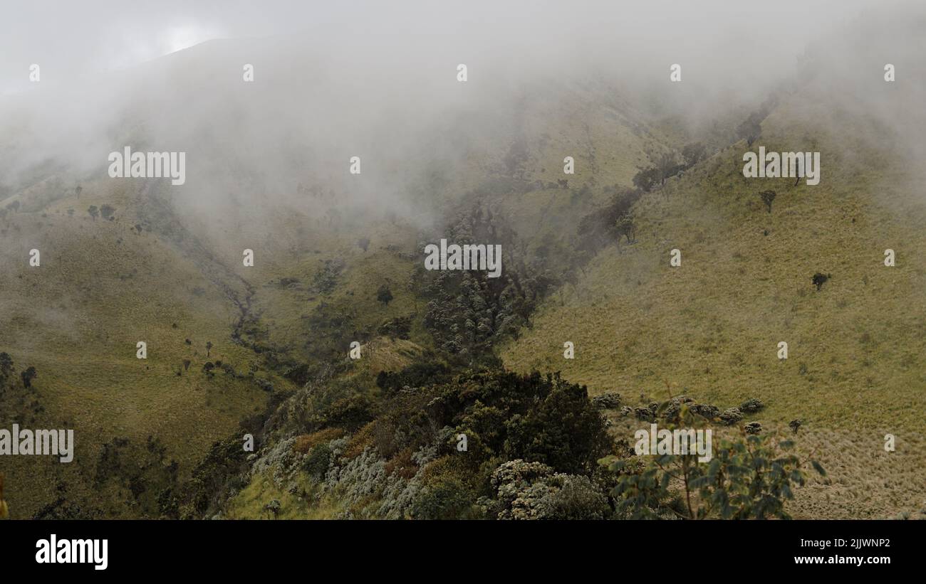 Fog smoke on mountain hi-res stock photography and images - Alamy
