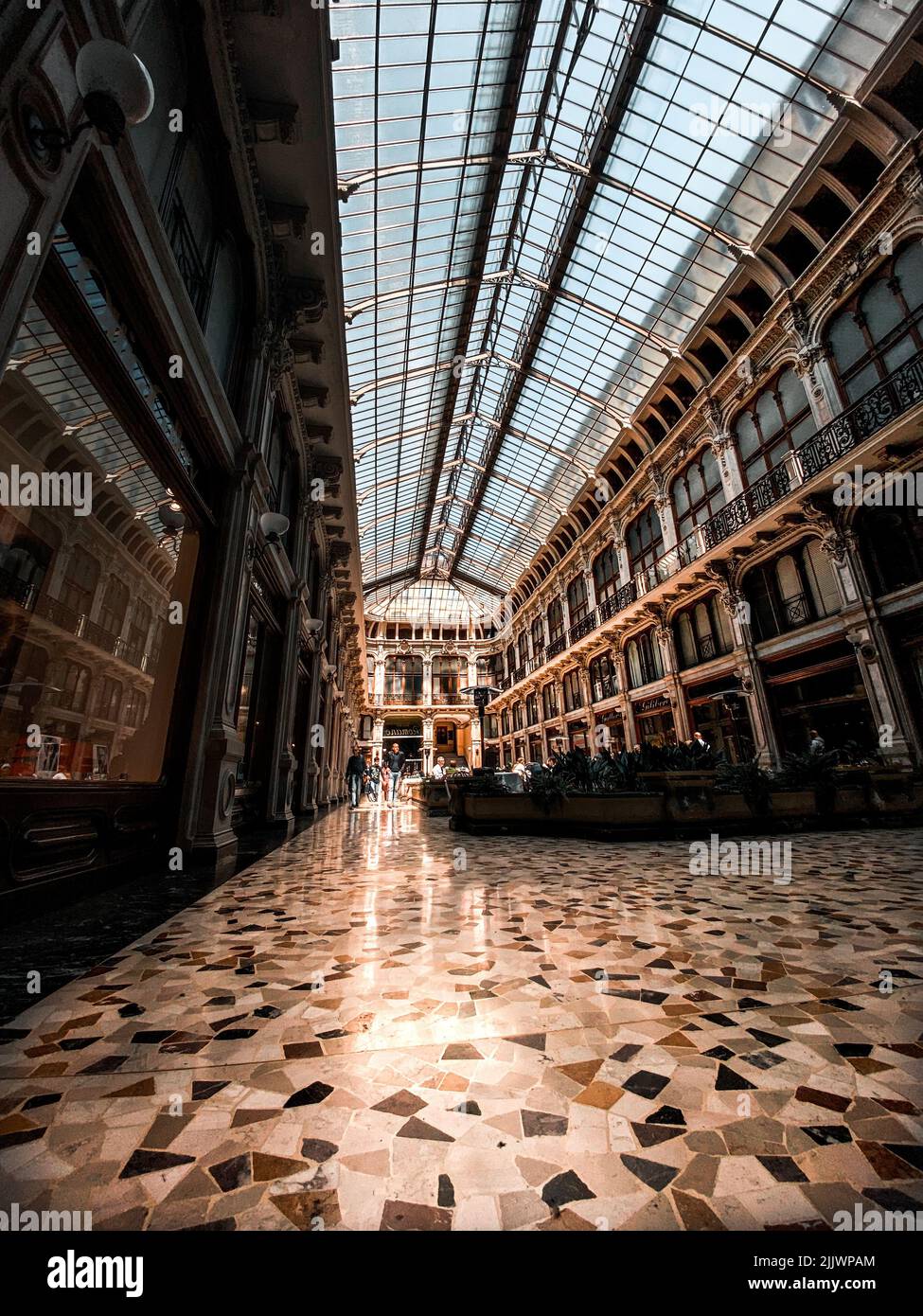 A vertical shot of the Galleria Subalpina in Turin, Italy Stock Photo