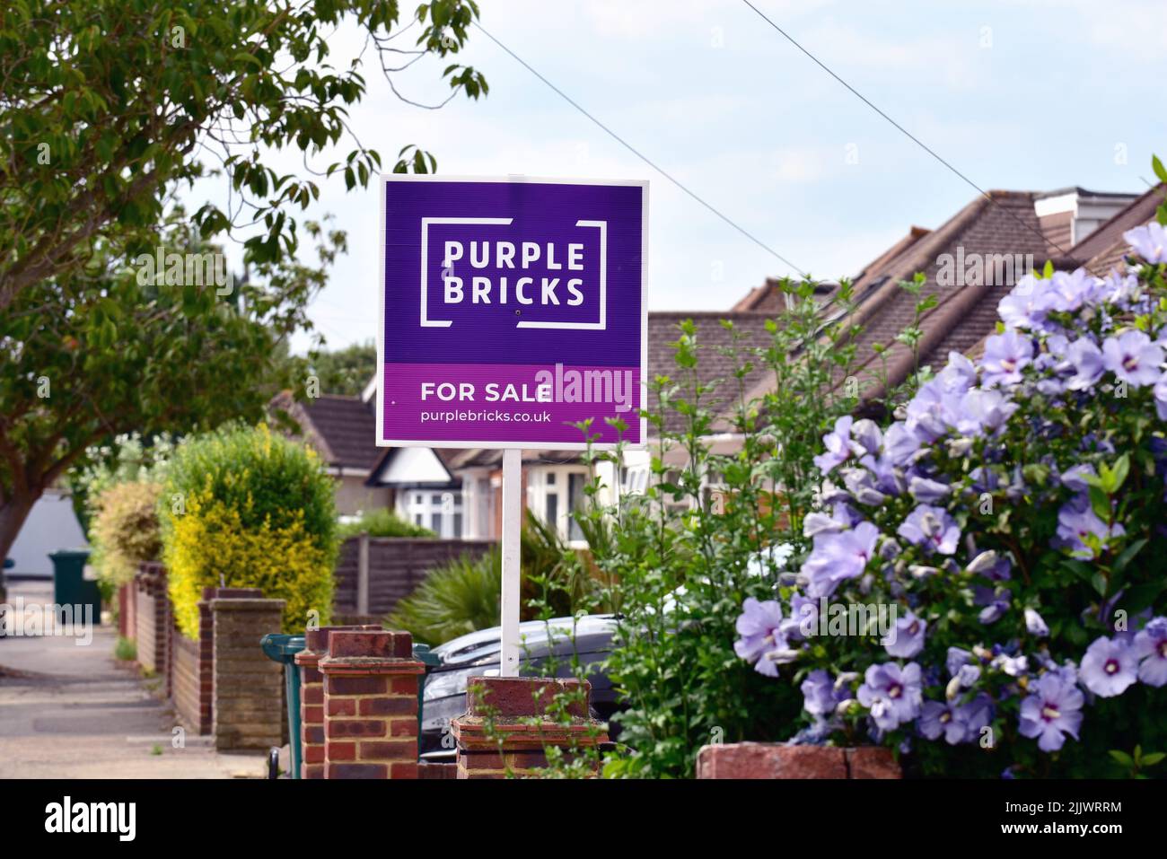 A 'Purple Bricks' online estate agents for sale sign outside a suburban  house in Shepperton Surrey UK Stock Photo