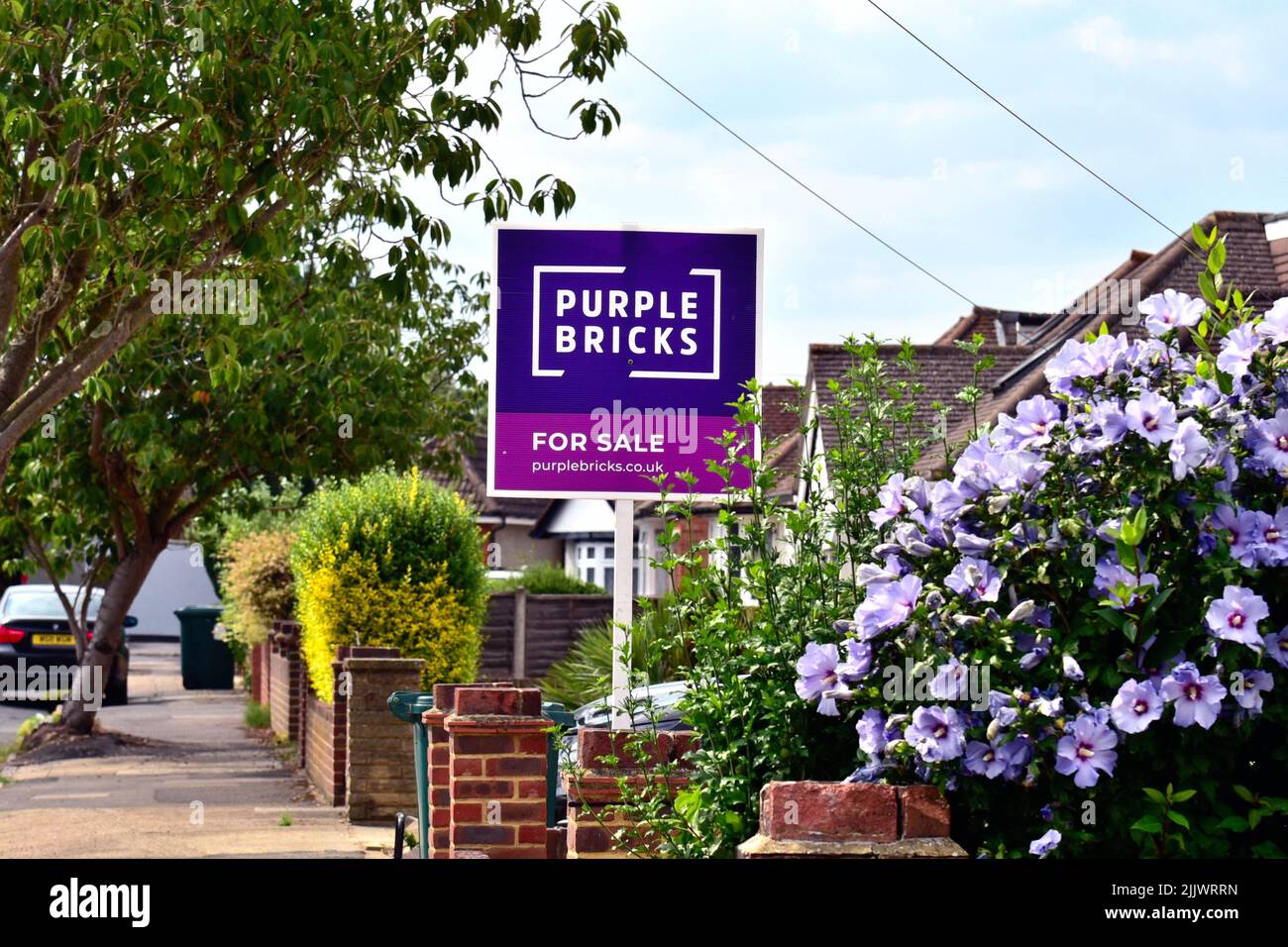 A 'Purple Bricks' online estate agents for sale sign outside a suburban  house in Shepperton Surrey UK Stock Photo