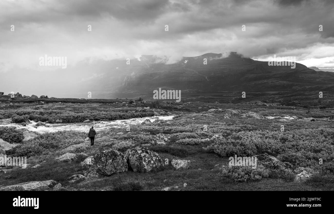 Black and white shot of female hiker with heavy backpack looking for a place to cross wild river in arctic landscape of Stora Sjofallet National Park Stock Photo