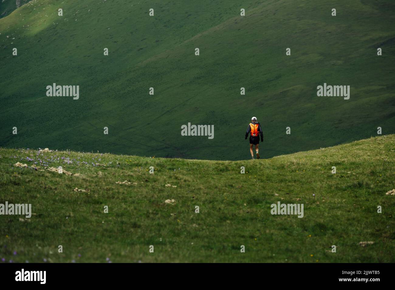 male trail runner running mountain meadow Stock Photo