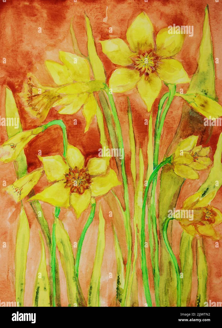 Daffodil with red background. The dabbing technique near the edges gives a soft focus effect due to the altered surface roughness of the paper. Stock Photo