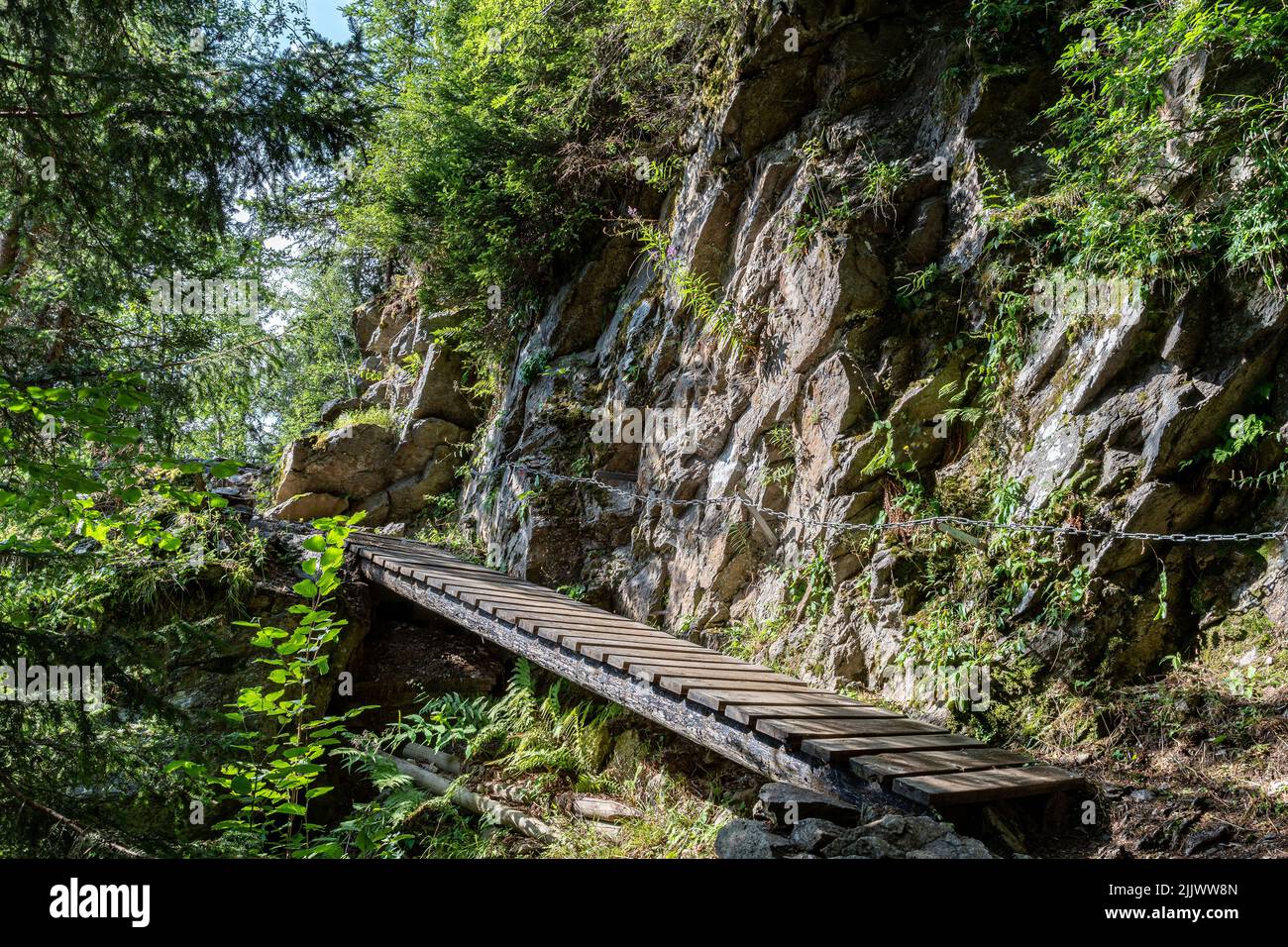 A wooden walkway replacing the eroded path on a mountain walk Stock ...
