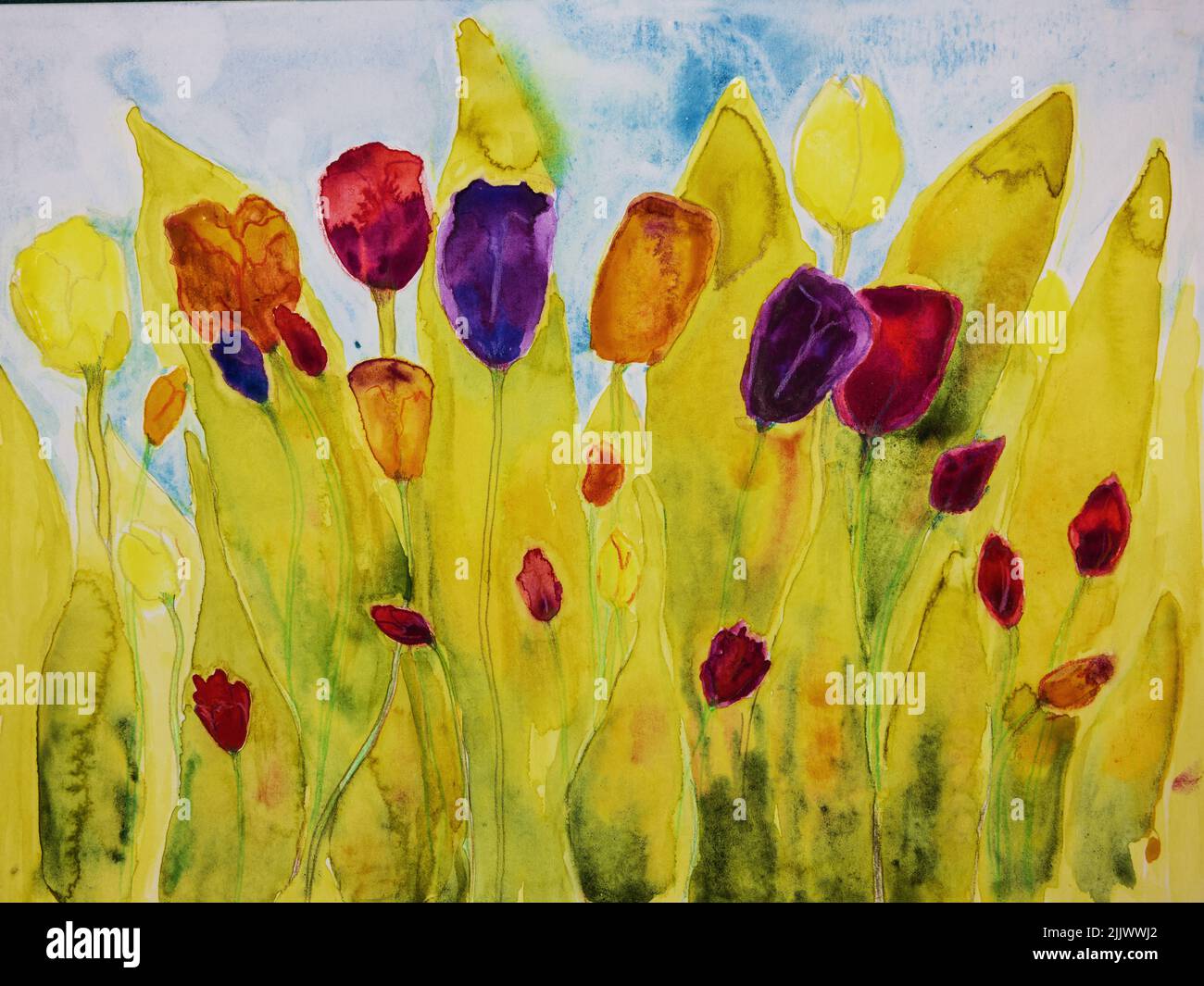 Vibrant tulips with multiple colors. The dabbing technique near the edges gives a soft focus effect due to the altered surface roughness of the paper. Stock Photo