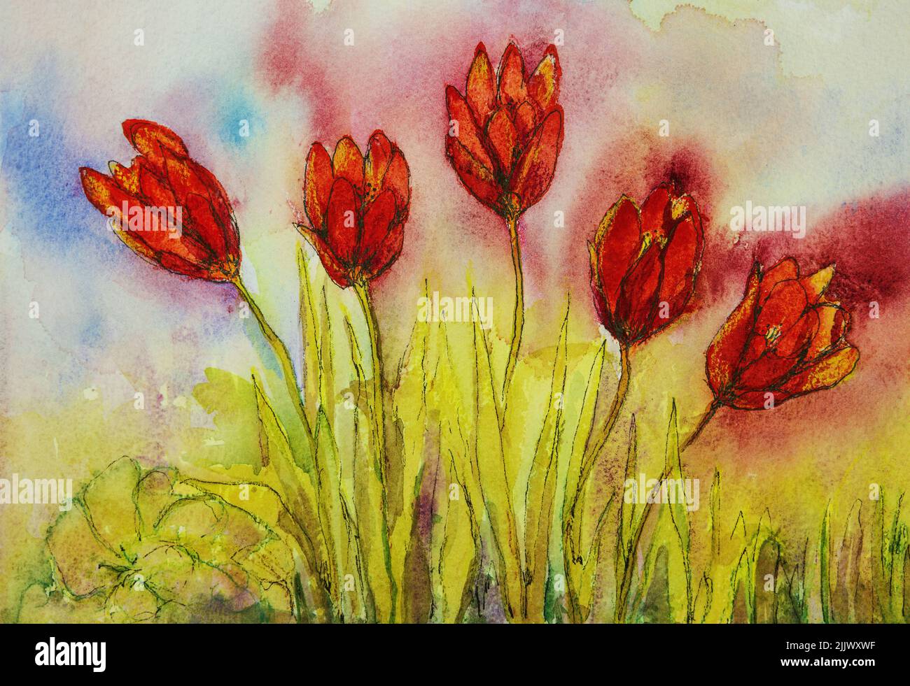 Doodled  red tulips in gras. The dabbing technique near the edges gives a soft focus effect due to the altered surface roughness of the paper. Stock Photo