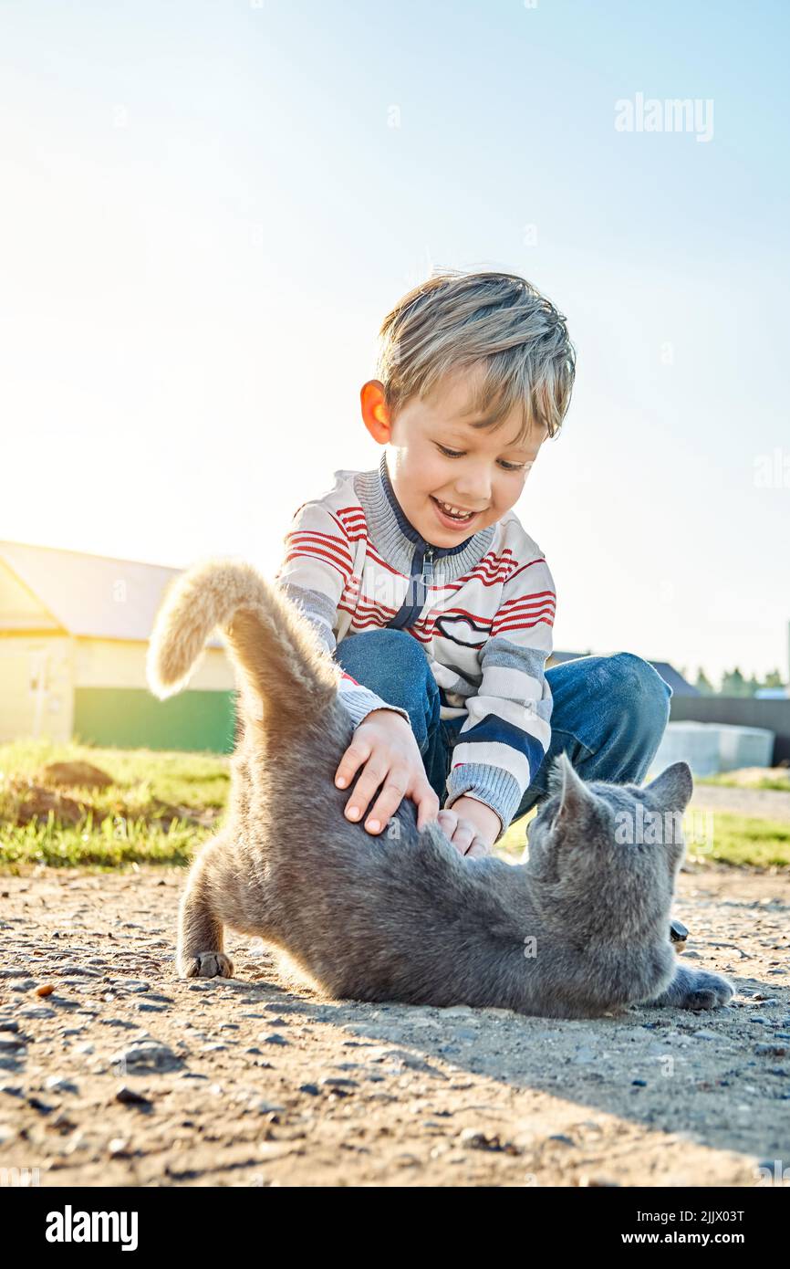 Cute preschooler boy with blond hair plays with grey domestic cat in country yard. Little boy plays with pet spending summer vacation in countryside Stock Photo