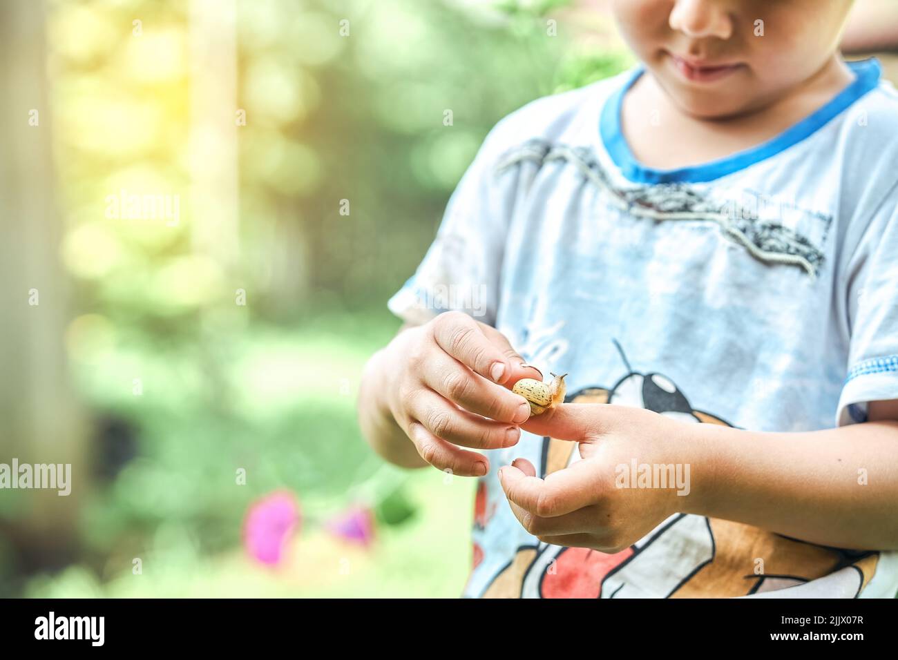 Little boy observing small green snail crawling on hand while exploring nature in summertime Stock Photo
