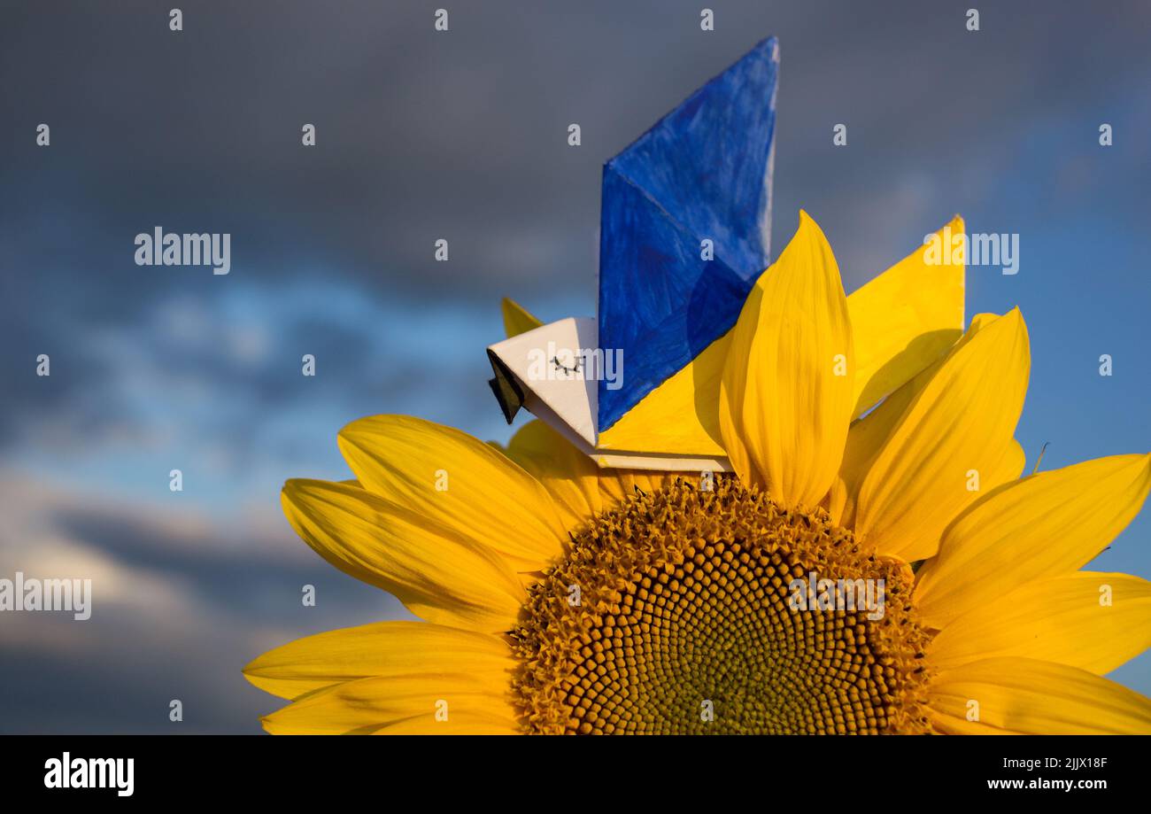 paper dove of peace, wings painted in yellow-blue colors of Ukrainian flag, sits on sunflower flower, illuminated by sun against sky. Support Ukraine. Stock Photo