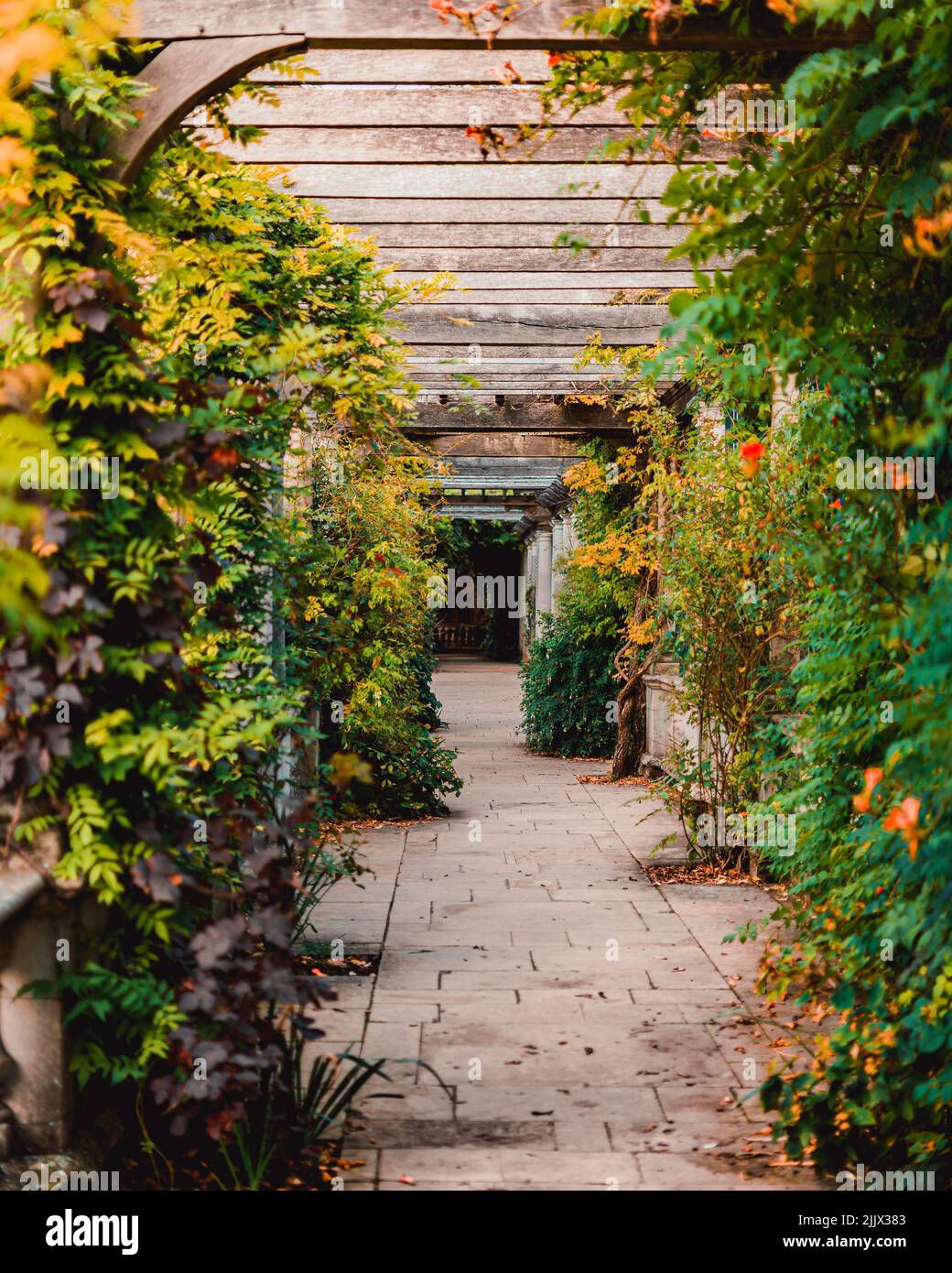 Vertical shot pathway leaves hi-res stock photography and images - Alamy
