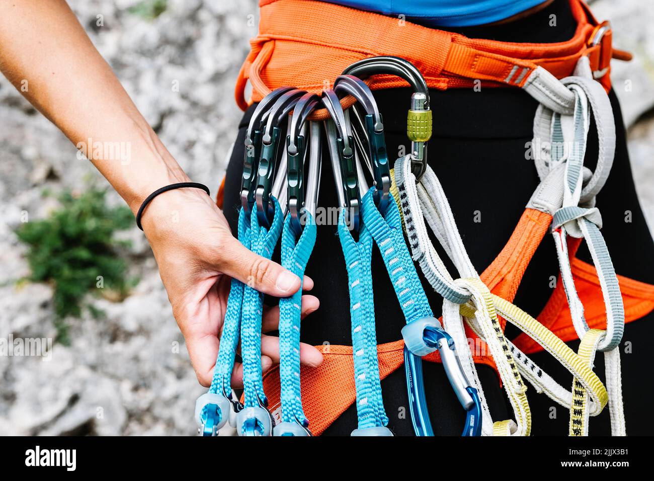 Crop of man wearing harness belt with plenty of carabiners ready to