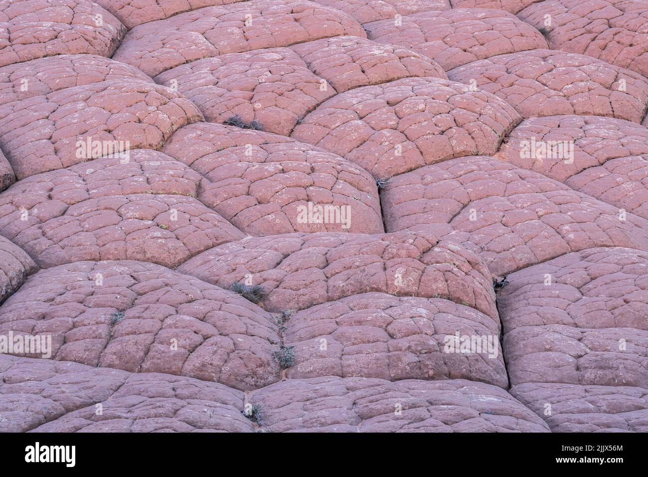 Abstract relief rough gritty surface of background texture Stock Photo