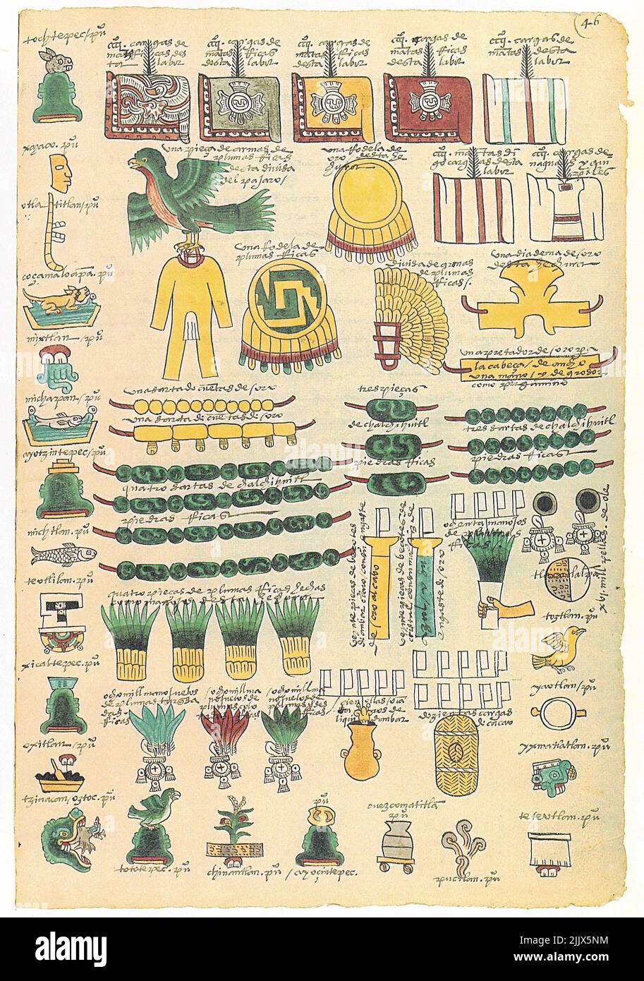 Page of Codex Mendoza depicting the coat of arms of Mexico. Mexico, c ...