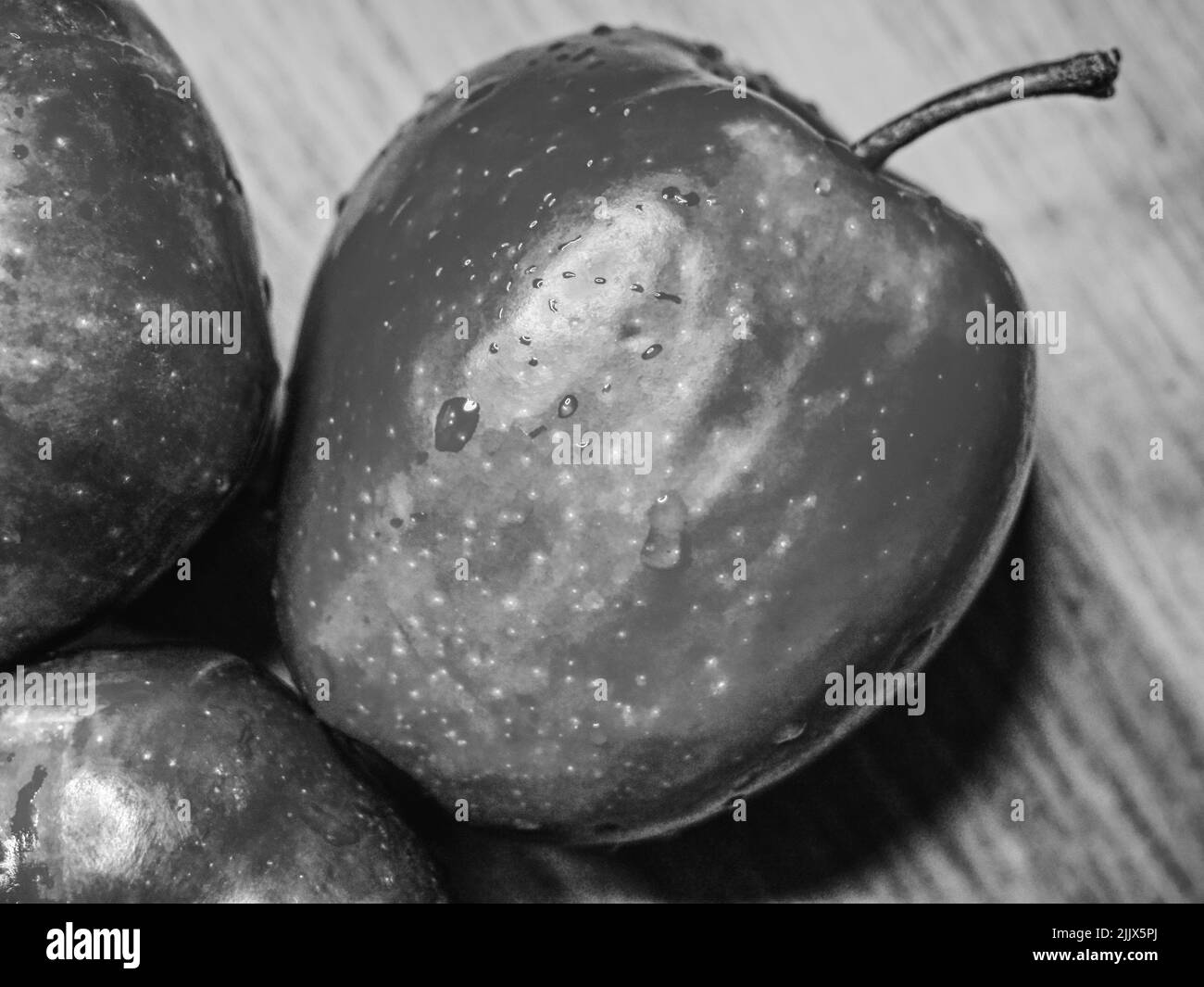 A large apple of the Red Chief variety. Black and white image. Stock Photo