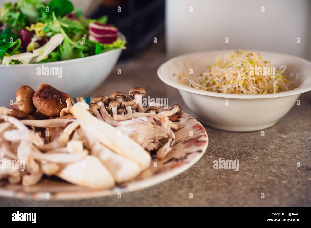 Assorted raw mushrooms in plate placed on table near mung bean sprouts and fresh salad in light kitchen during cooking process Stock Photo