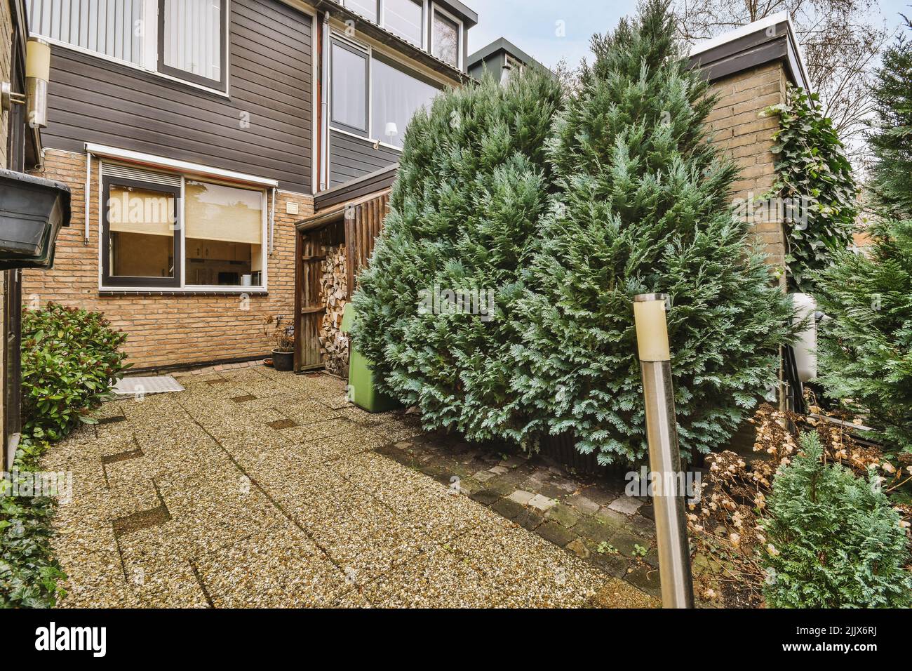 Backyard of a house with trees and green plants next to other houses